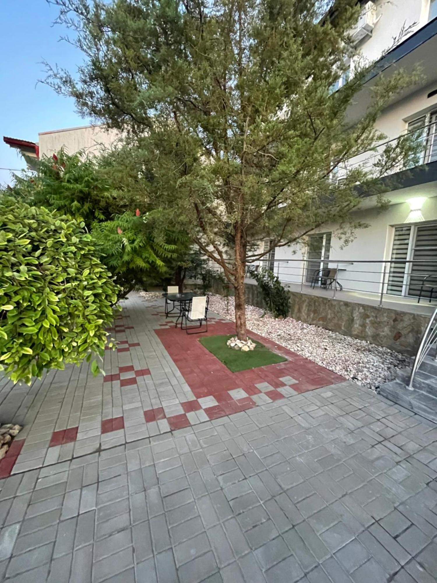 Dekor Hotel Costineşti Exterior foto